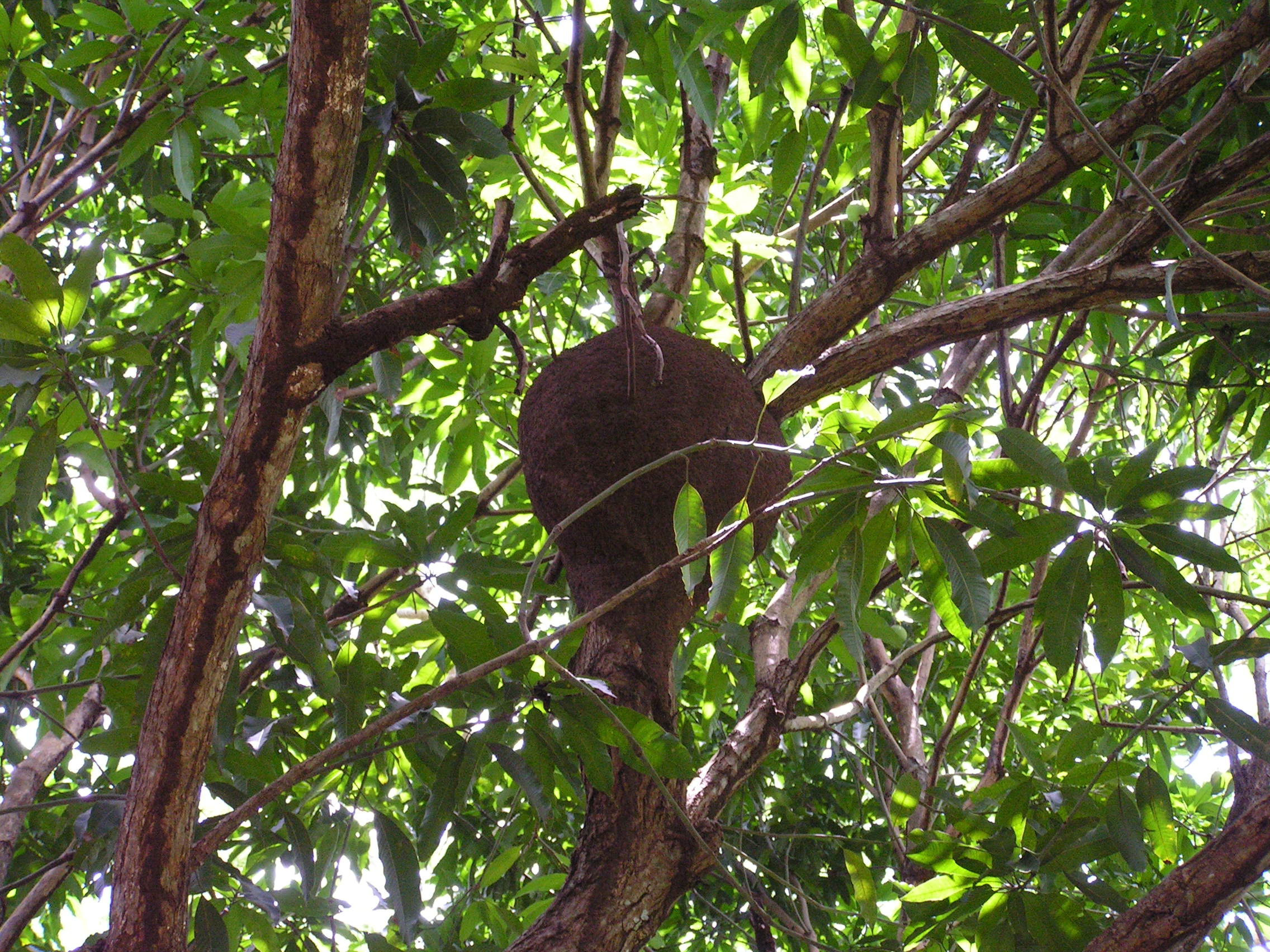 ./2005/Puerto Rico/Part 2/PICT0139.JPG